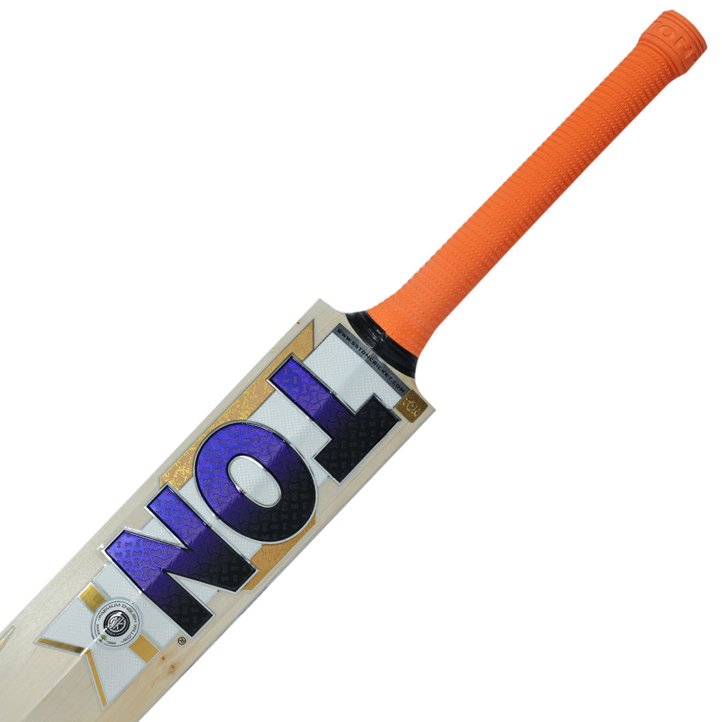 SS TON Dhoni Thala