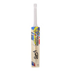 Beast Glenn Maxwell