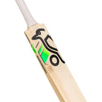 Alex Carey Players Replica