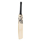 Shadow Pro 5.0
