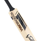 Shadow Pro 5.0