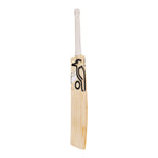Phoebe Litchfield Players Replica