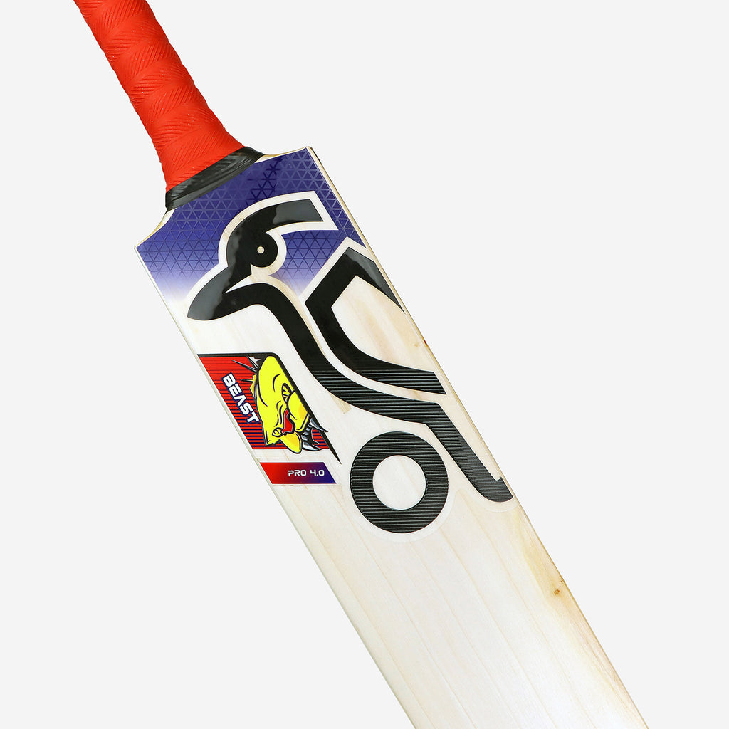 Beast Pro 4.0
