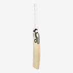 Ghost Pro 1.0