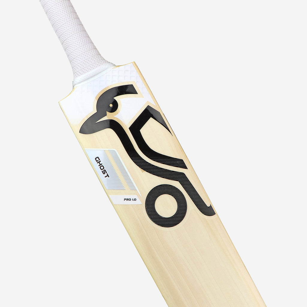 Ghost Pro 1.0