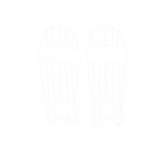 Batting Pads