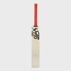 Kookaburra Beast Pro 2.0 cricket bat rotating from the front face to the edge, revealing the Kookaburra wordmark