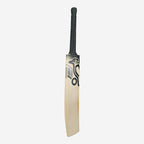 Shadow Pro 2.0