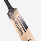 Shadow Pro 2.0