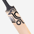 Shadow Pro 2.0
