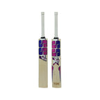 SS Sky Blaster cricket bat