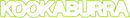 Kookaburra logo